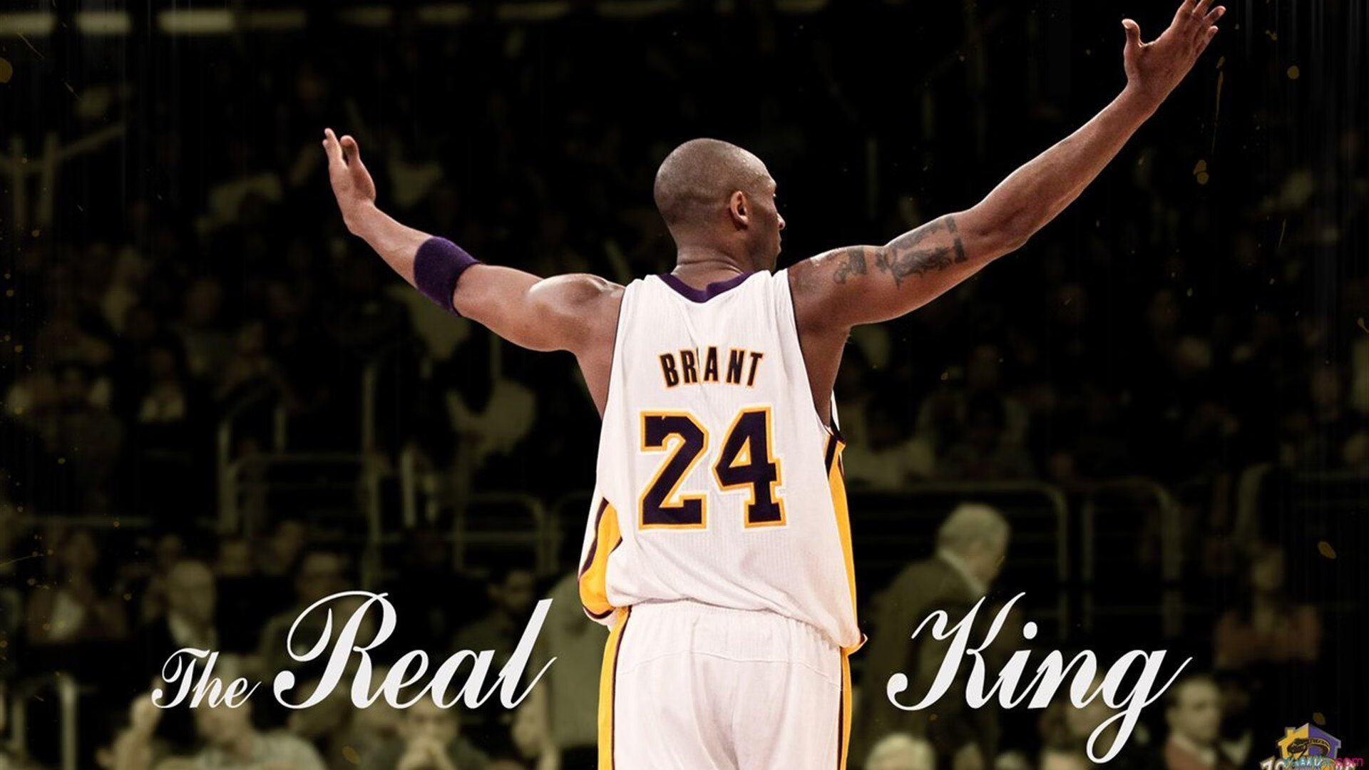 攻防一体！托尼只手遮天，掘金攻陷魔鬼主场