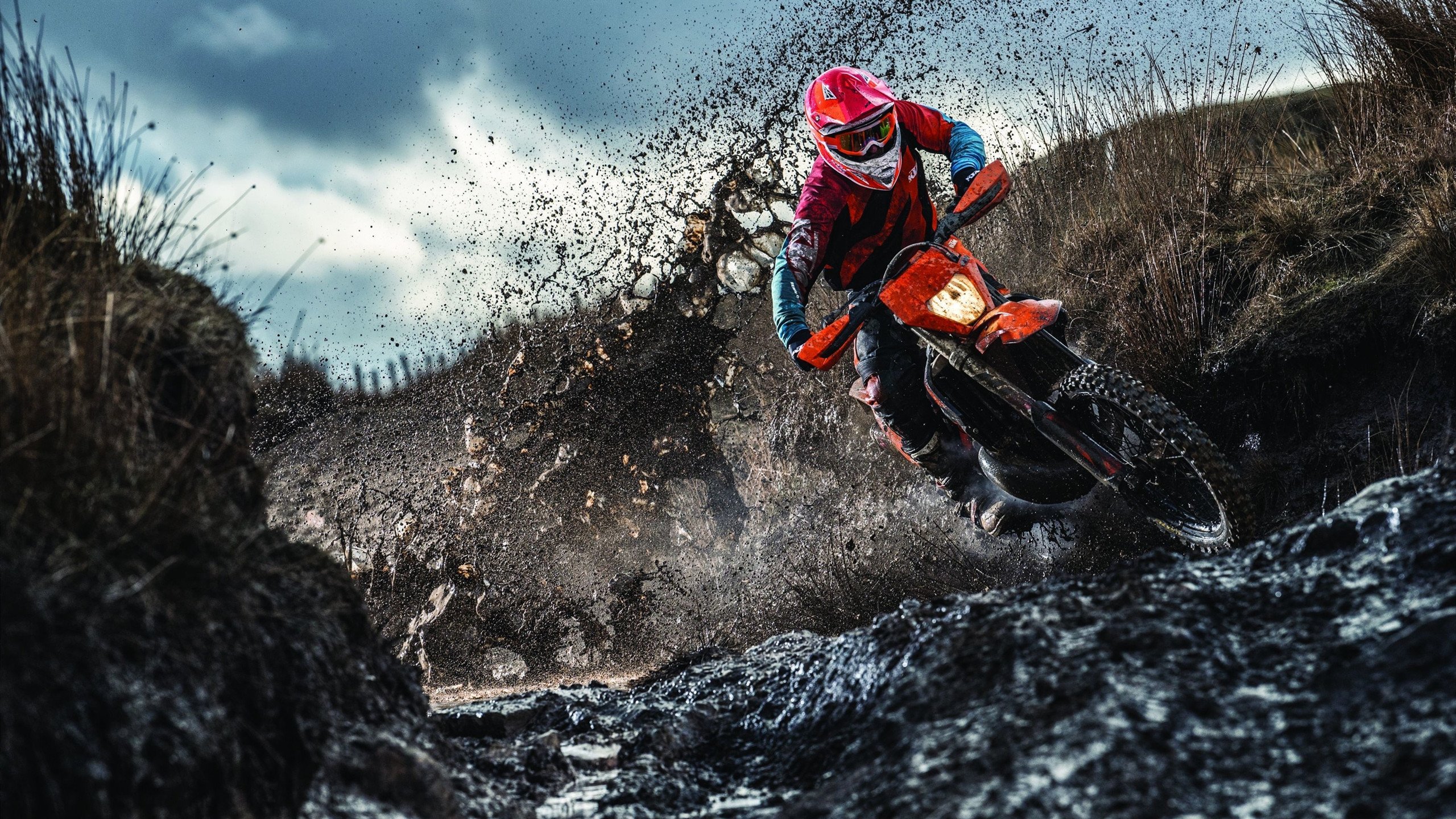 范弗利特单骑救主！掘金窒息防守绞杀雄鹿，年度焦点战诞生新王